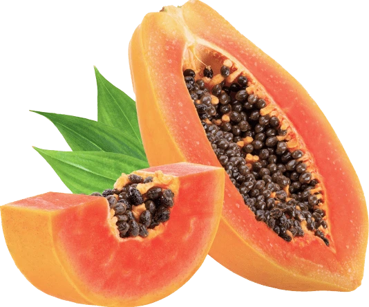 Synadentix Ingredient Dextranase